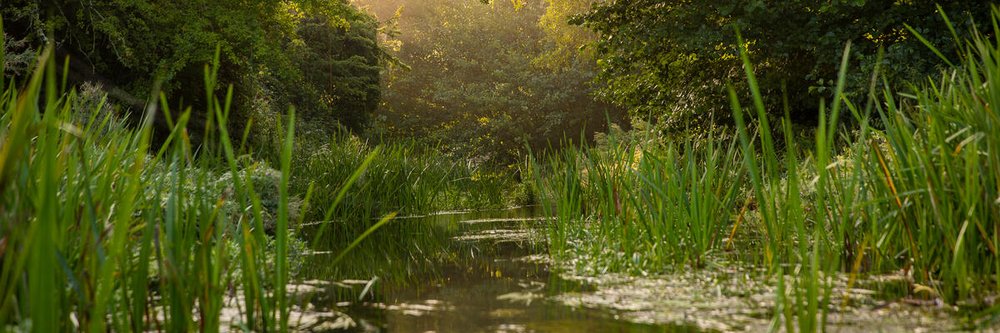 Norfolk Rivers Trust's banner