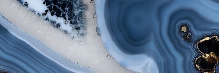 E L I🦂's banner