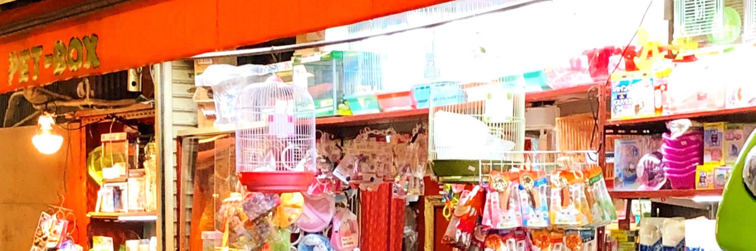 PET-BOX(小鳥と雑貨屋)'s banner