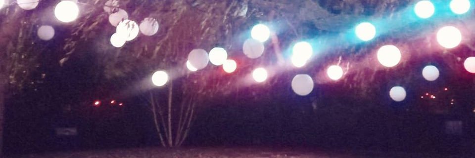 Noy Hilda's banner