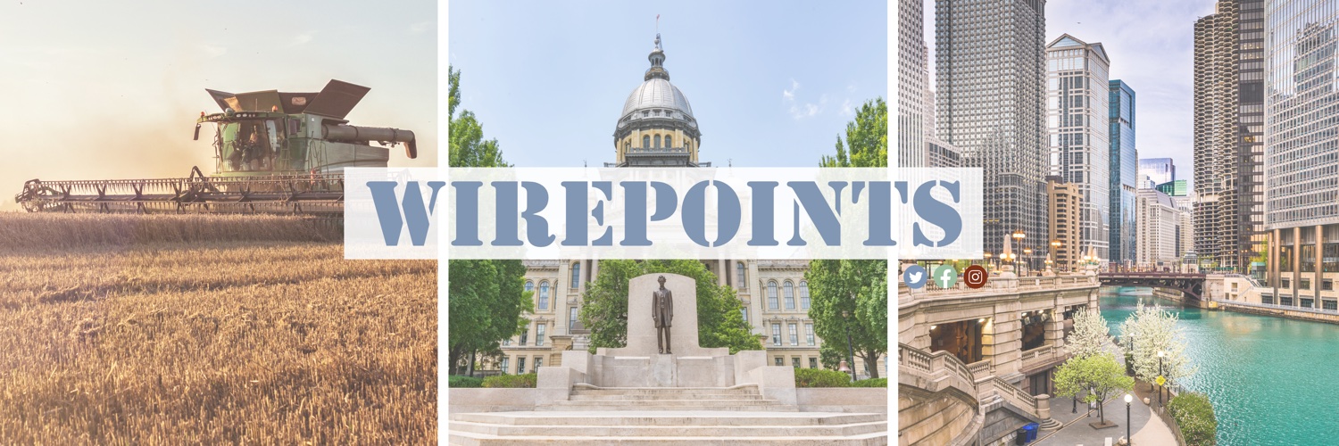Wirepoints's banner