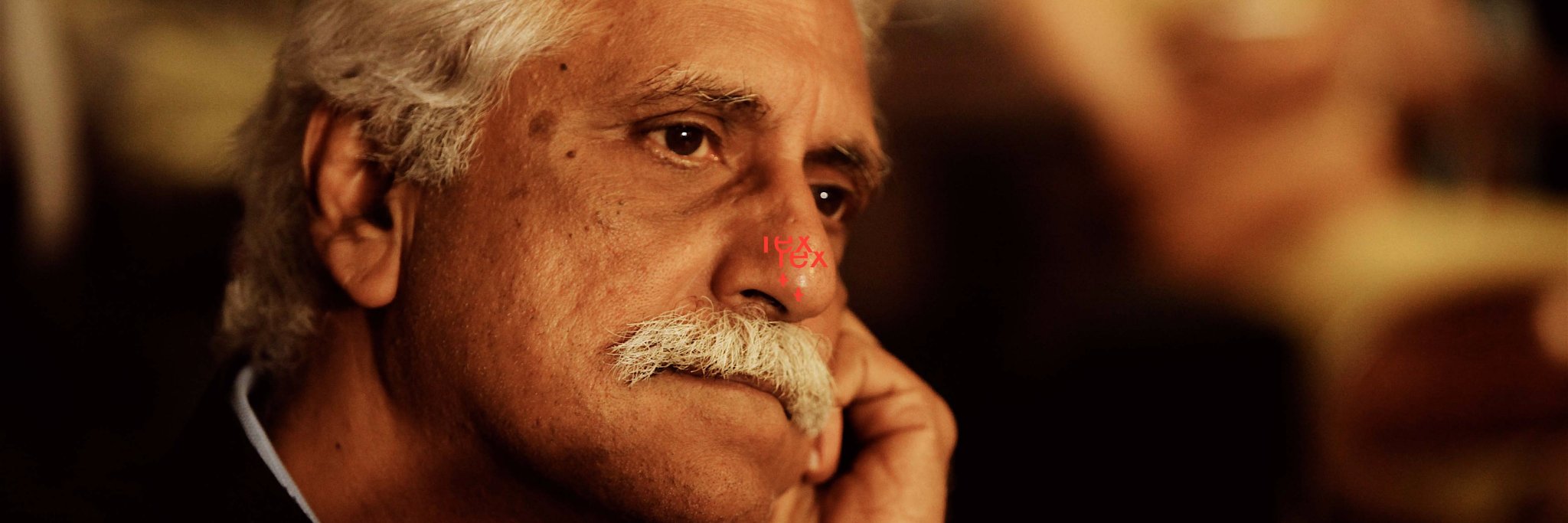 Cricketwallah's banner