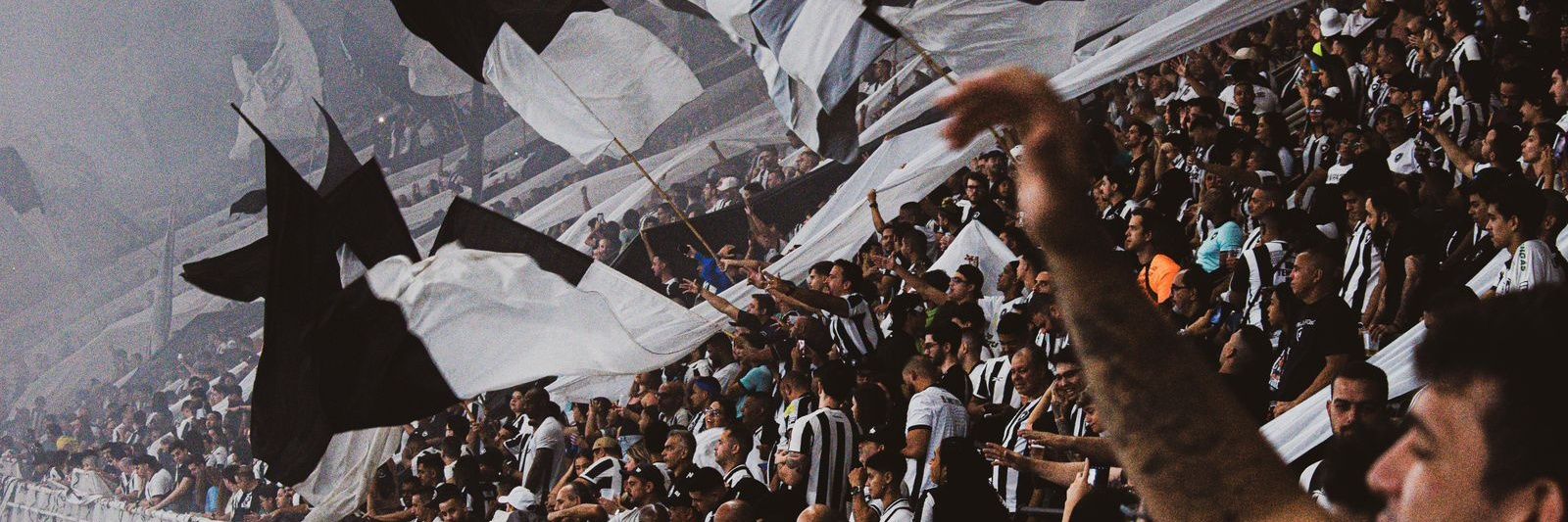 Gui Fernandes ★彡's banner