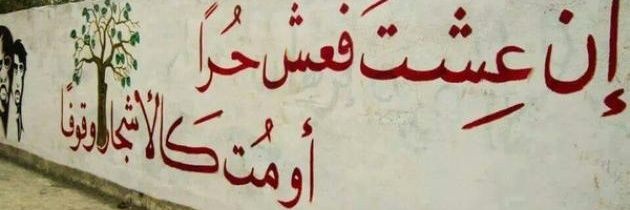 أبو صبحي الغريب's banner