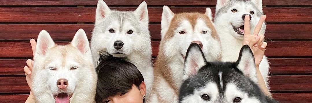 ญิ๋งญิ๋ง ง ˙ω˙'s banner