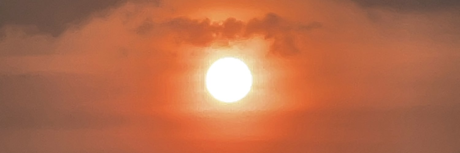 salad's banner