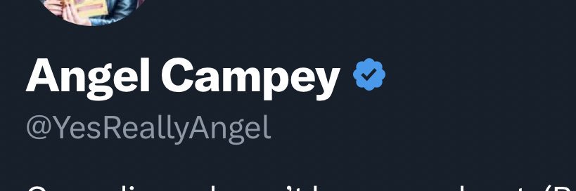 Angel Campey's banner