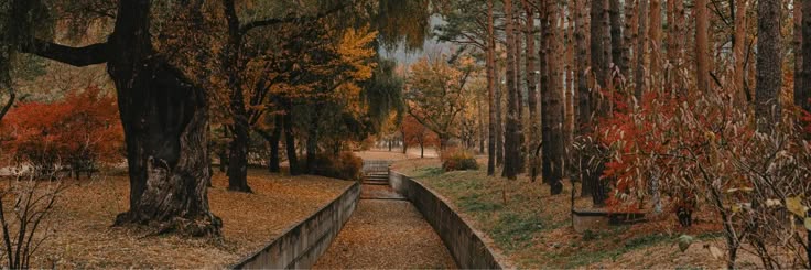 jel 🍂's banner