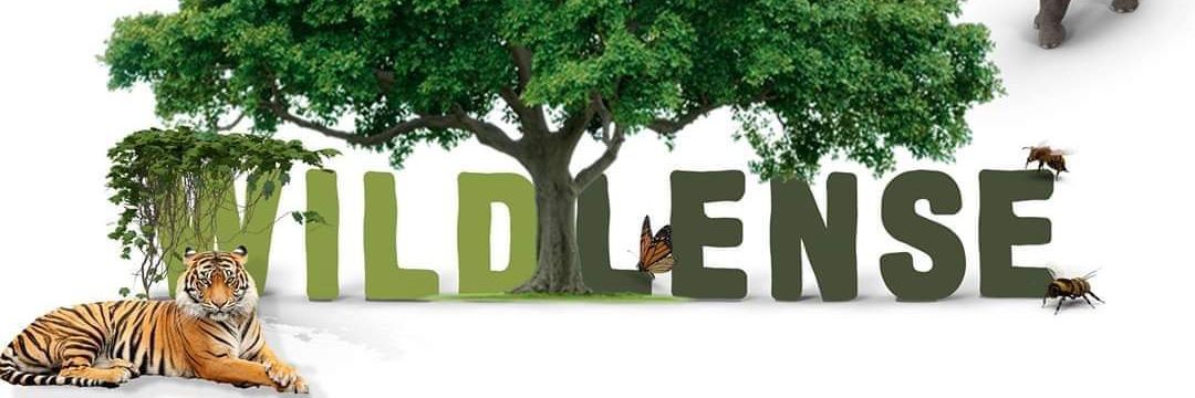 WildLense® Eco Foundation 🇮🇳's banner