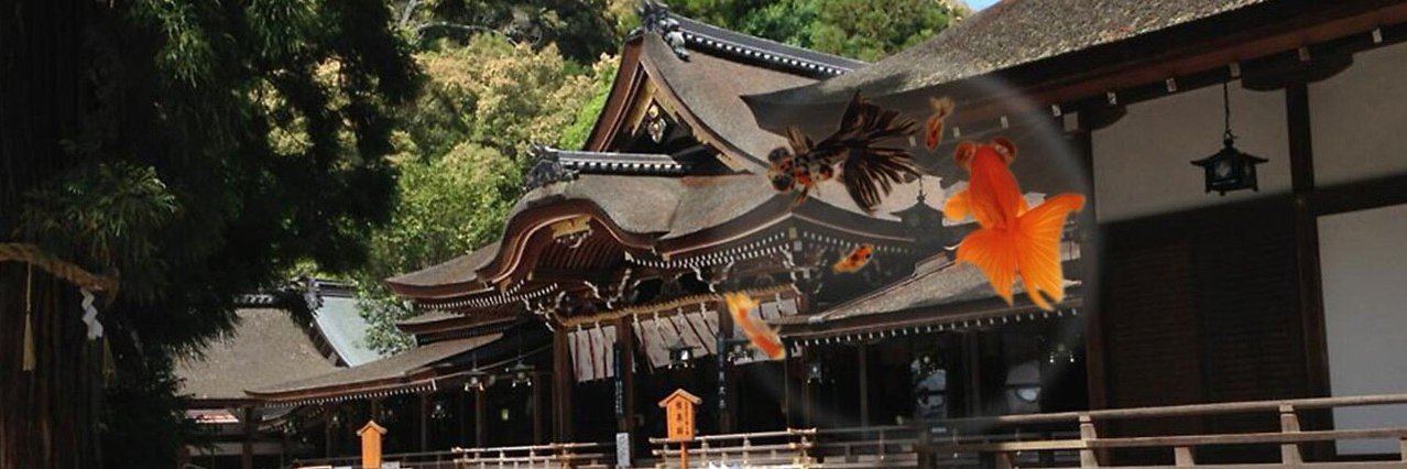 石田まさひろ : 看護師・参議院議員（比例・全国区）'s banner