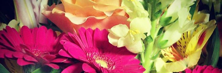 やんちゃ4兄弟の母(8y4y2y+0y8m🆕)'s banner