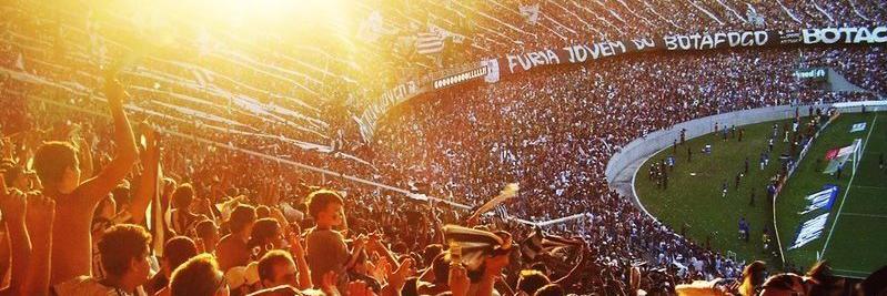 Meu Botafogo's banner