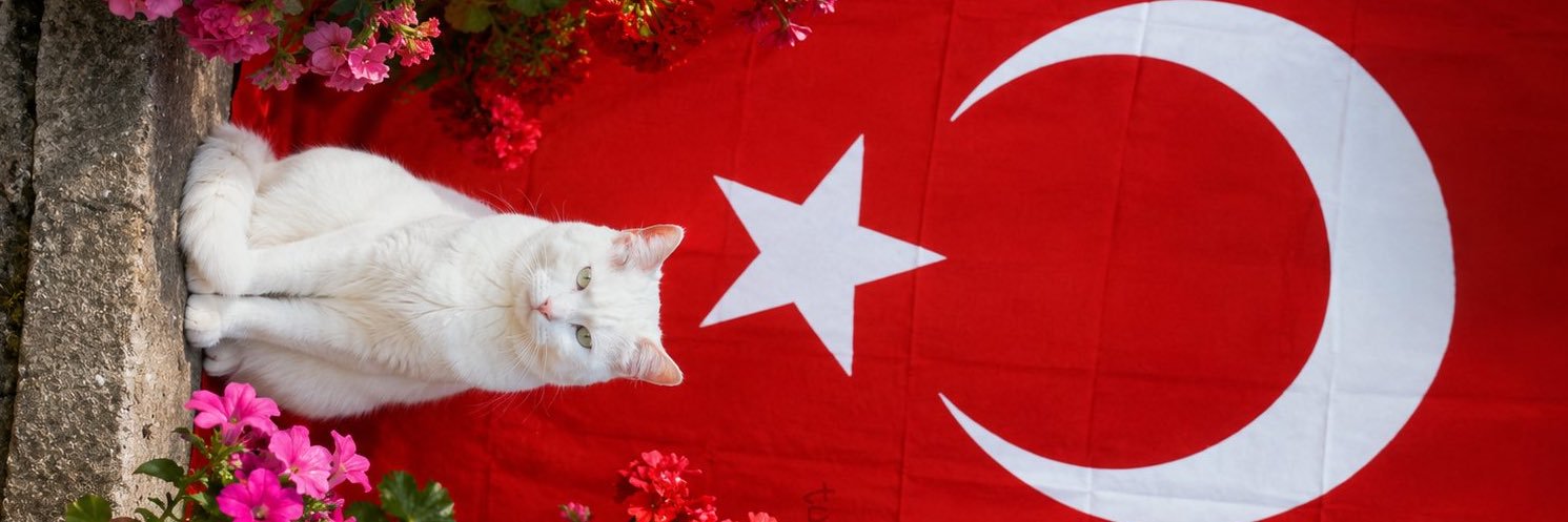 Suzan hanım merhaba's banner