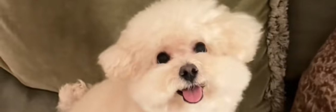 m e l l o's banner