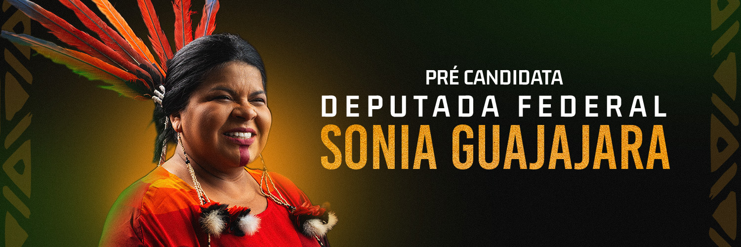 Sônia Guajajara's banner