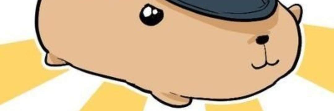 そりっどさん📦🐍's banner
