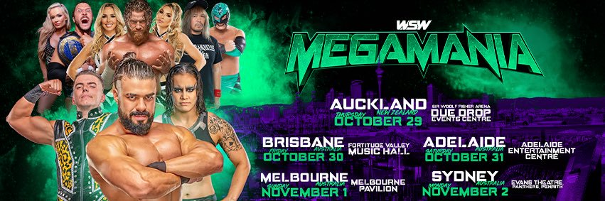 WorldSeriesWrestling's banner