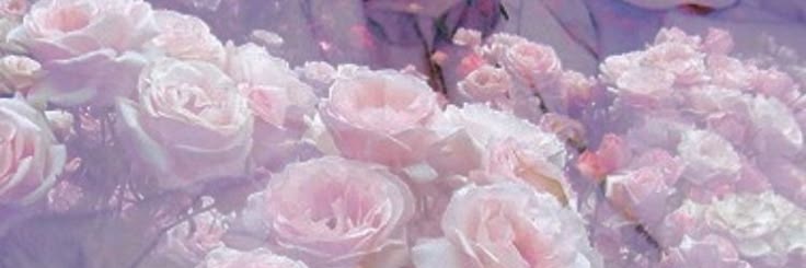 멜♡쭈니's banner