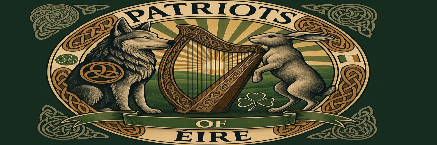 Ed Lynch 🇮🇪's banner