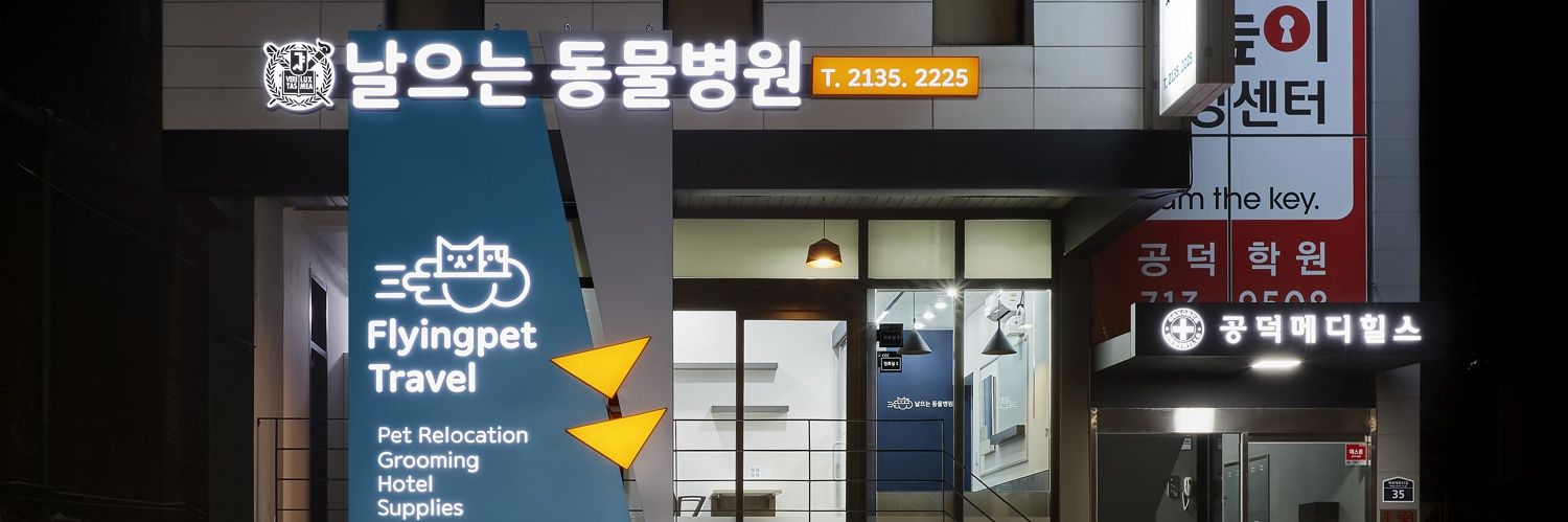 날으는동물병원 / Flying pet clinic's banner