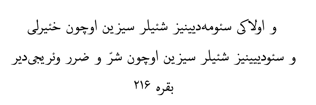 توحید ایوبی چیانه's banner