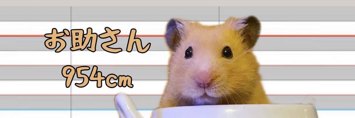 SHUN🐹's banner