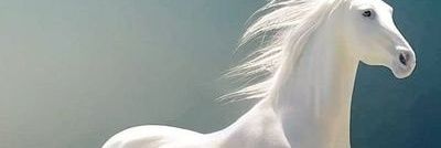 Daniel's banner