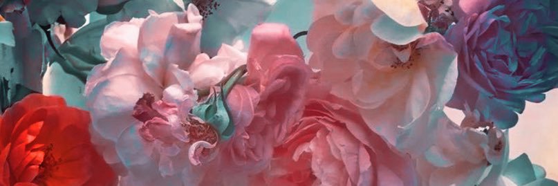 jiminicricket's banner