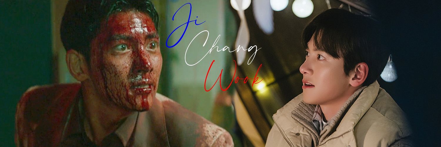 Ji Chang Wook France's banner
