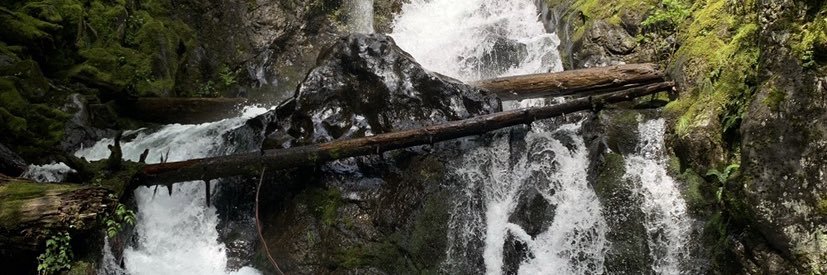 Tarzan's banner
