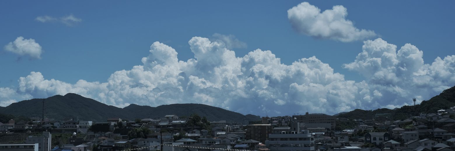 大橋 昂汰's banner