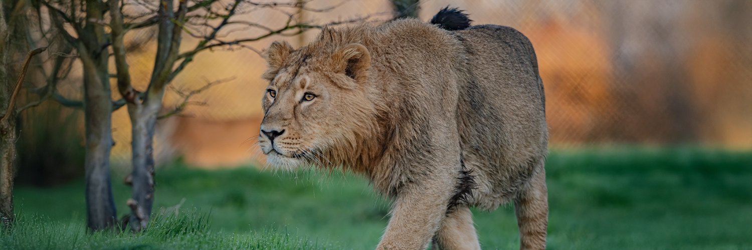 Chester Zoo's banner