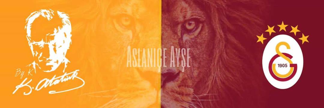 🫶🏼🅰️slaniçe¹⁹⁰⁵💛❤️'s banner