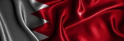 النائب زينب عبدالامير's banner