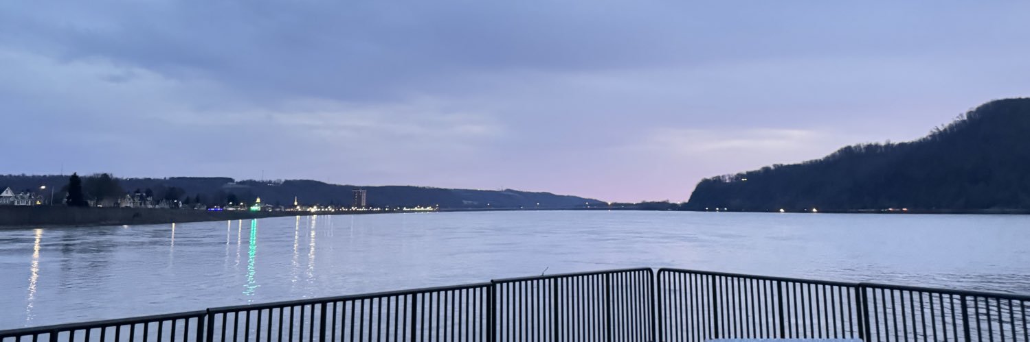 Steez's banner