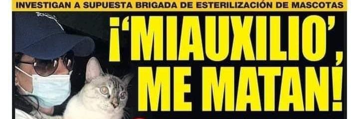 Bloque Defensores An's banner