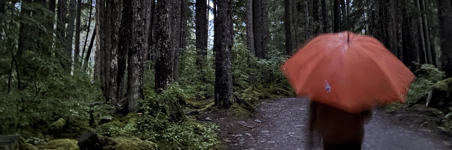 emily pengvvins 🐧💗🦋's banner