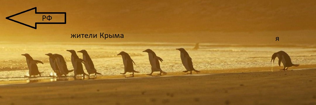 КрымРукаЛицо's banner