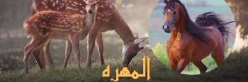 المهره👑's banner