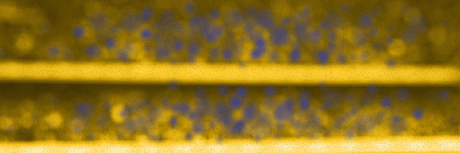 احمد باجمال (بن سراج الدين الكندي)'s banner