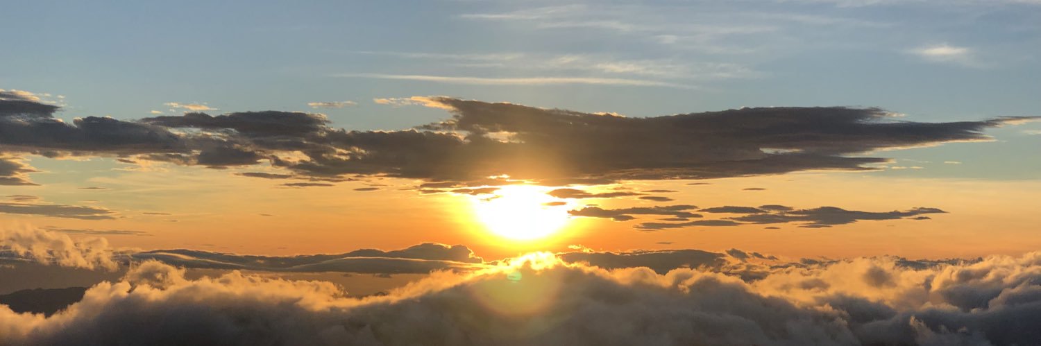藤田アナログ（Fujita Analogue）'s banner