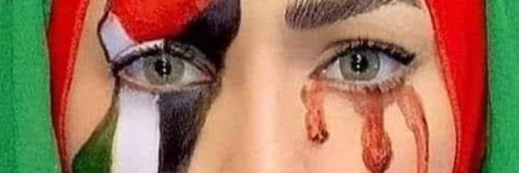 Sonia 🇵🇸's banner