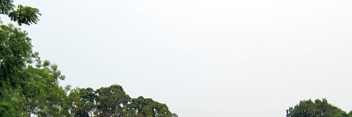 ⚙️'s banner