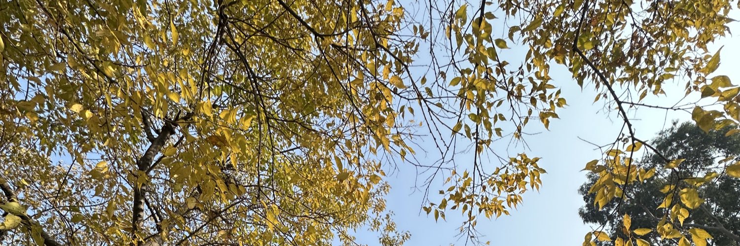 سالار's banner
