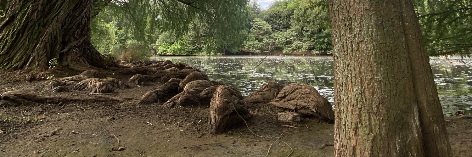 keisha's banner
