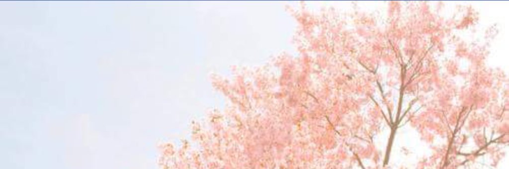 mydayon.vibe💡🥣's banner