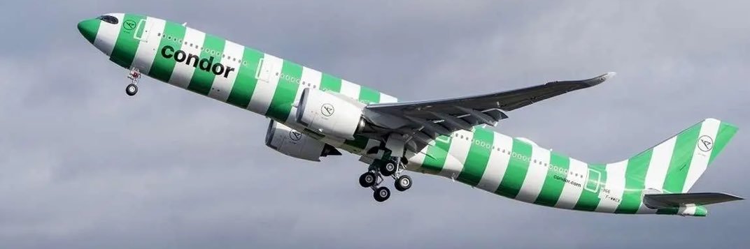 🇮🇷 pilot's banner
