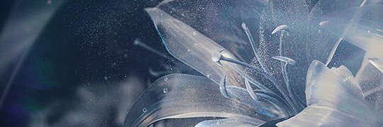 Cres.'s banner