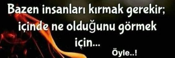 Zehra Su Olgun's banner