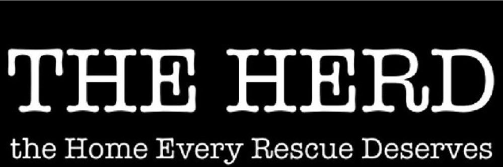 THE HERD HOUSE's banner